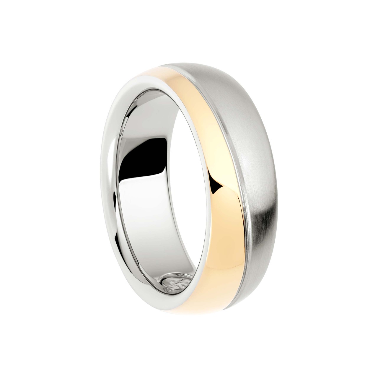 Two-coloured ring with magnetic force